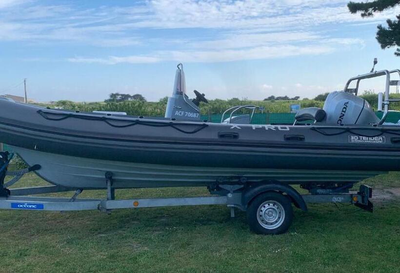 住宿加早餐  Brown