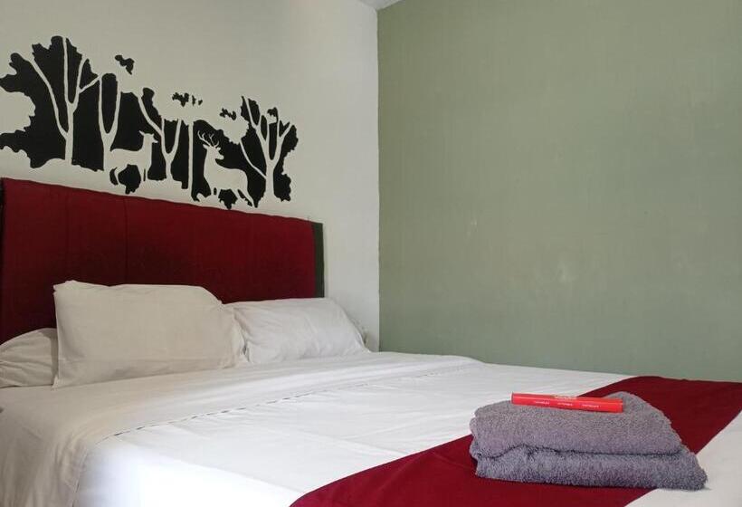 فندق Rumah Kopi Syariah