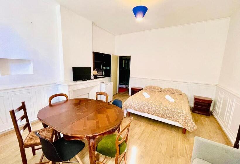 פנסיון Albi Chambres