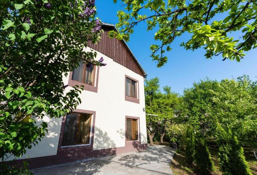 ペンション Dream Guest House