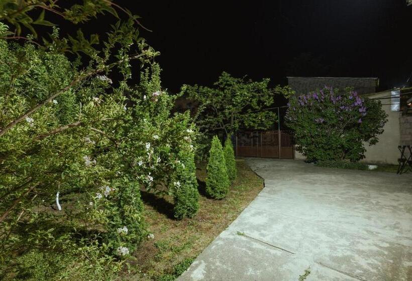 ペンション Dream Guest House