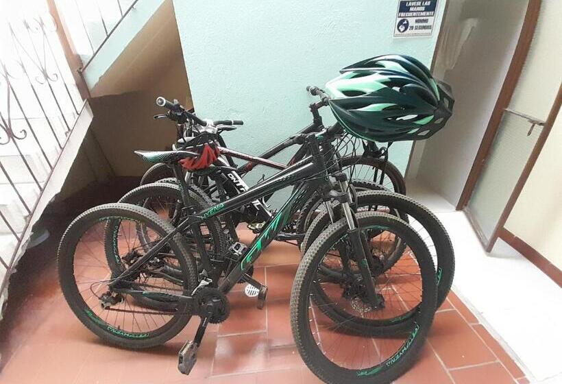 ペンション Hostal Heliconias