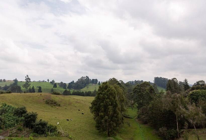 Apartasuite A 3 Min Del Aeropuerto Jmc