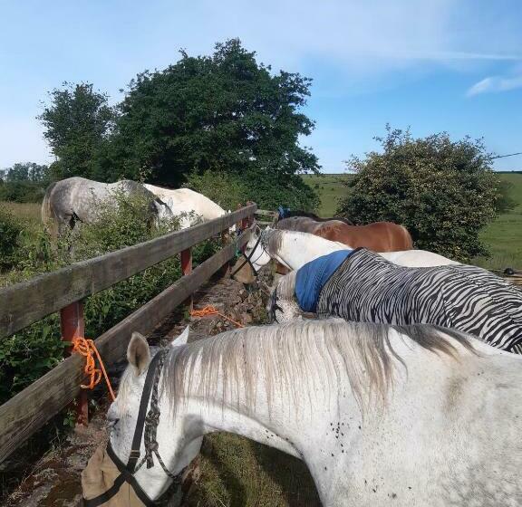 膳宿费 Gite Fée Grenouille