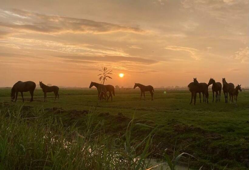 Appartement Met Eigen Sauna En Sport En Spelruimte