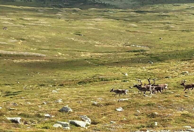 Cozy House On Norderon For Up To 8 People