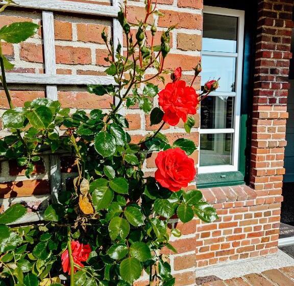 Groot Ferienwohnungen Lütt & Groot