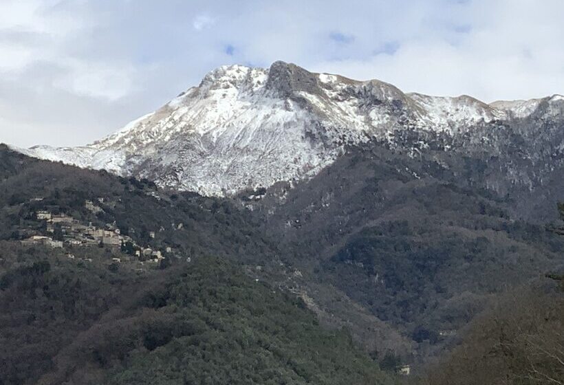 Casa La Wanda In Camaiore Toscana Terrazza