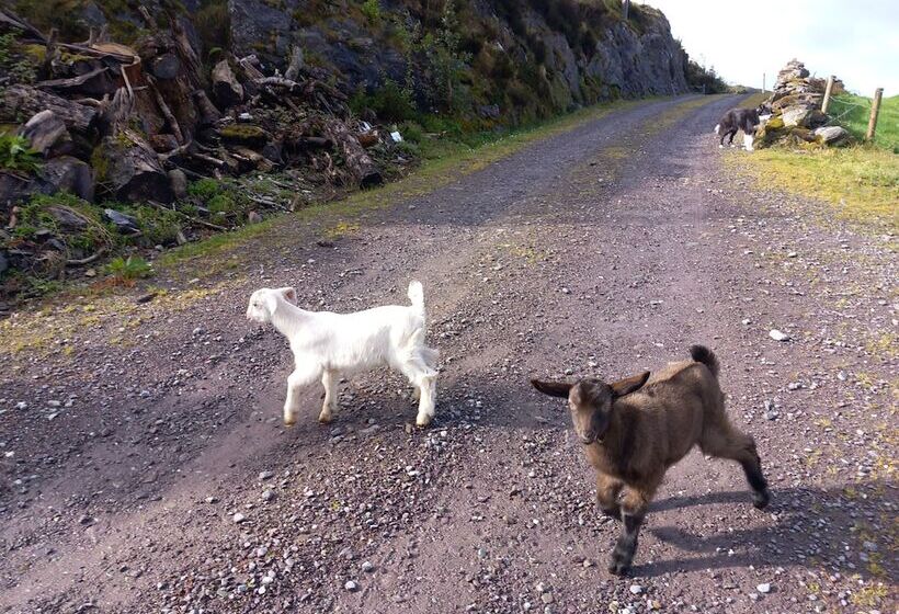 Cuckoo Tree House Glengarriff Beara Peninsula