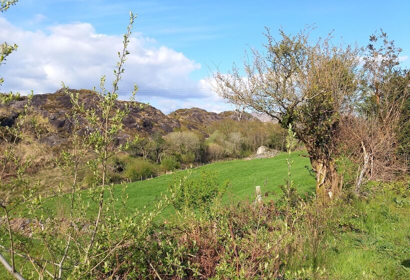 Cuckoo Tree House Glengarriff Beara Peninsula