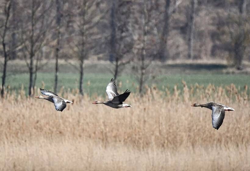 The House To Stay For Holidays