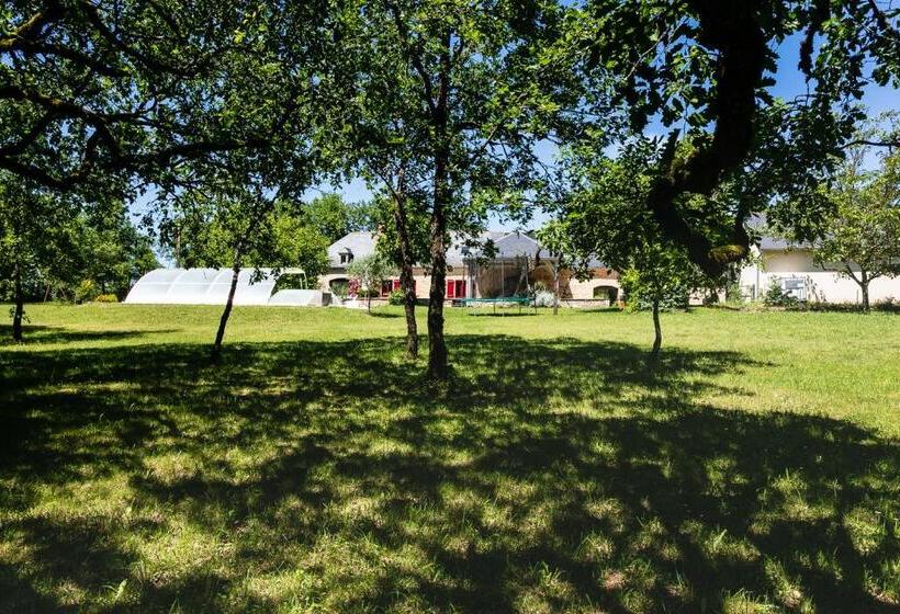 민박 Les Oiseaux De Passage