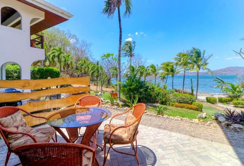 ホテル Flamingo Marina 406