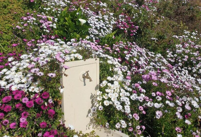 住宿加早餐  A Caserella Chambres D Hôtes