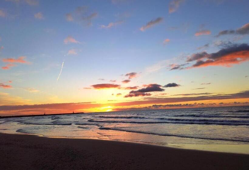 مبيت وإفطار La Lagune Aux Oiseaux