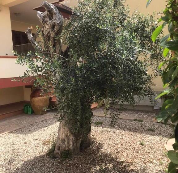 住宿加早餐  Via Grottella 81   In Locazione Turistica