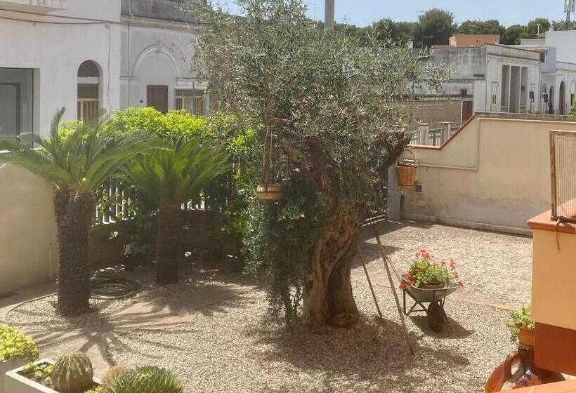 Bed and Breakfast Via Grottella 81   In Locazione Turistica