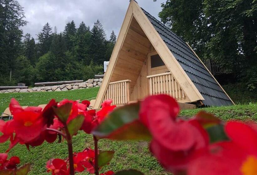 Das Schutzhaus Bed And Breakfast Dein Basislager Im Salzkammergut