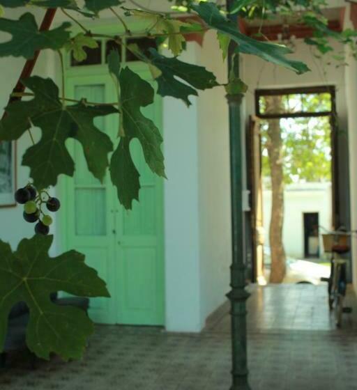 ペンション Club De Veraneantes Tulumba Hostel Y Suites