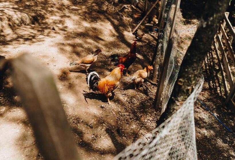 پانسیون Floresta Secreta  Pousada Cachoeira Da Neve