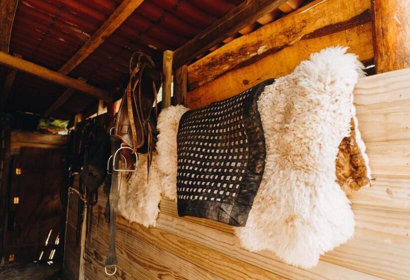 پانسیون Floresta Secreta  Pousada Cachoeira Da Neve