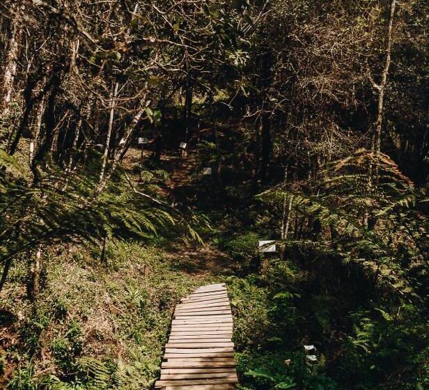 پانسیون Floresta Secreta  Pousada Cachoeira Da Neve