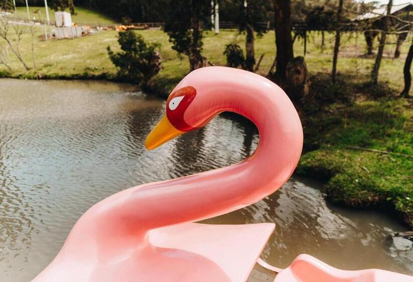 پانسیون Floresta Secreta  Pousada Cachoeira Da Neve
