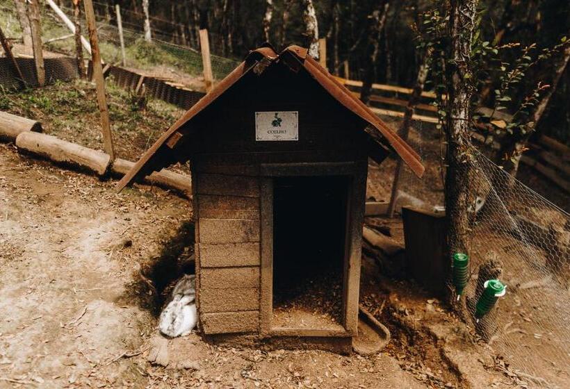 پانسیون Floresta Secreta  Pousada Cachoeira Da Neve