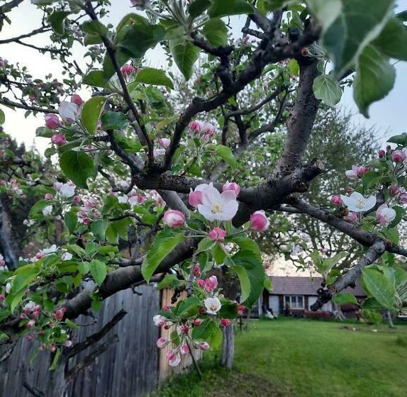 膳宿费 Karacsony Guest House