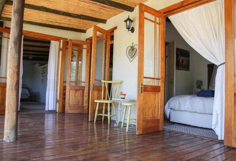 بنسيون Karoo Feels