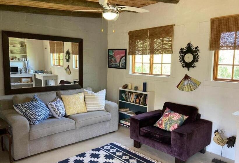 بنسيون Karoo Feels