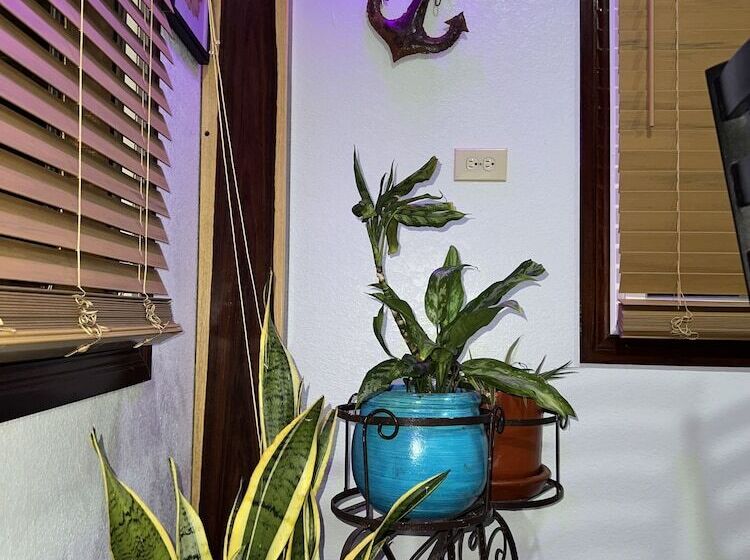 Пансион One South Place