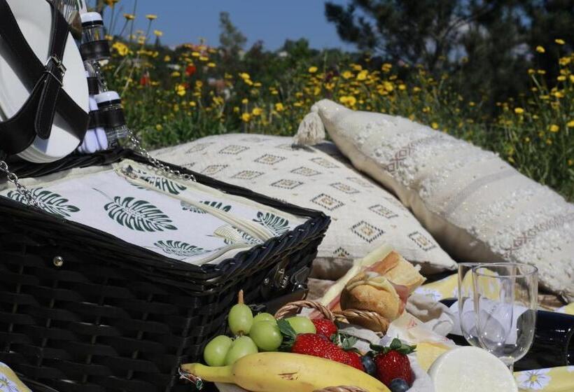 ペンション Quinta Vale De Palheiros