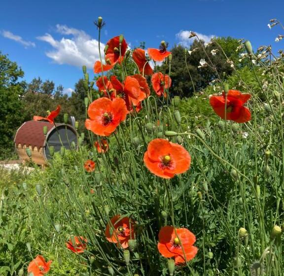 ペンション Quinta Vale De Palheiros