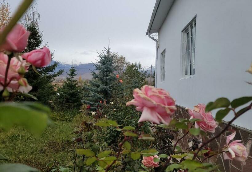 هاستل ай ас