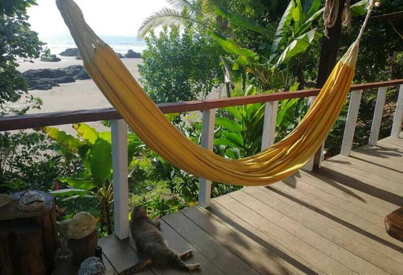 هاستل Casa Origen