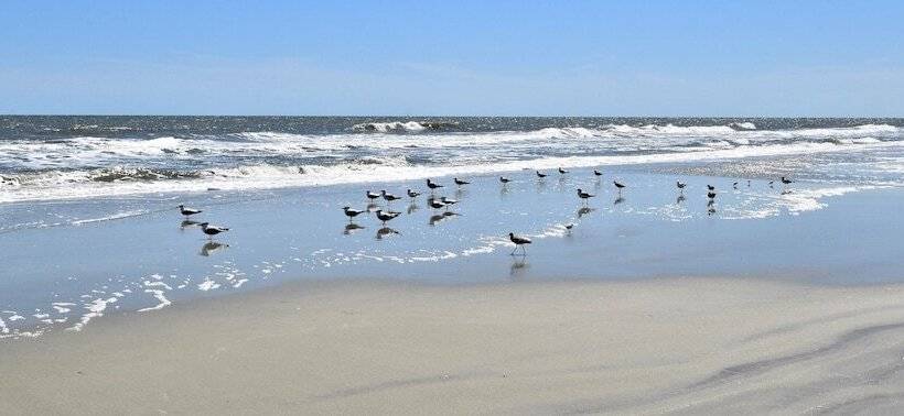 Общежитие The 1890 Freeman House