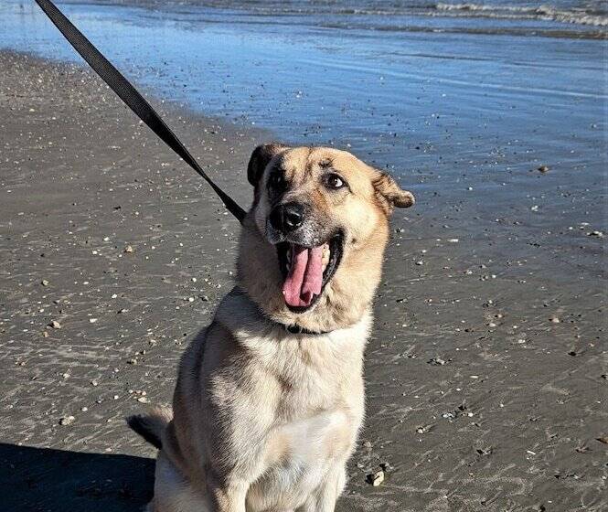 Общежитие The 1890 Freeman House