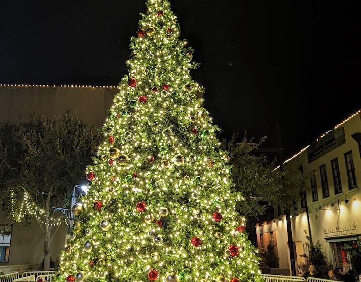 Общежитие The 1890 Freeman House