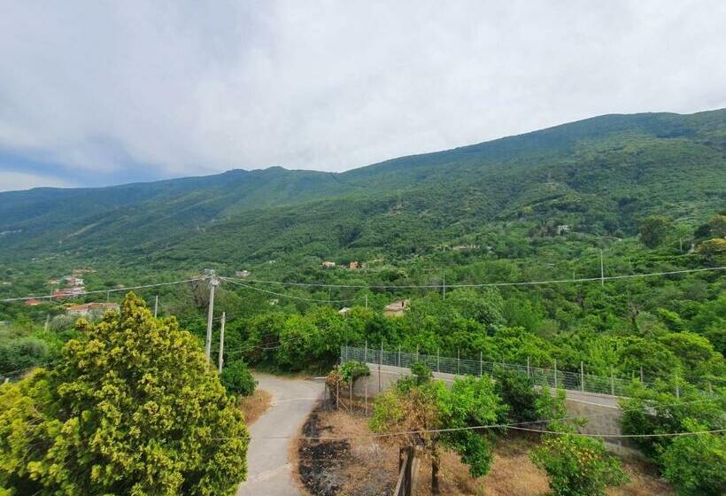 B&b L Agrumeto