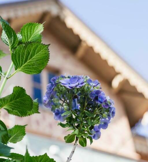 مبيت وإفطار Ca Meison