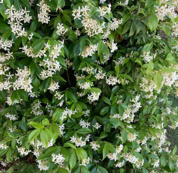 צימר Chambre D’hôtes Mamounet Haut