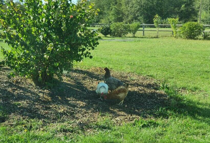 צימר Chambres D Hôtes De La Vallée