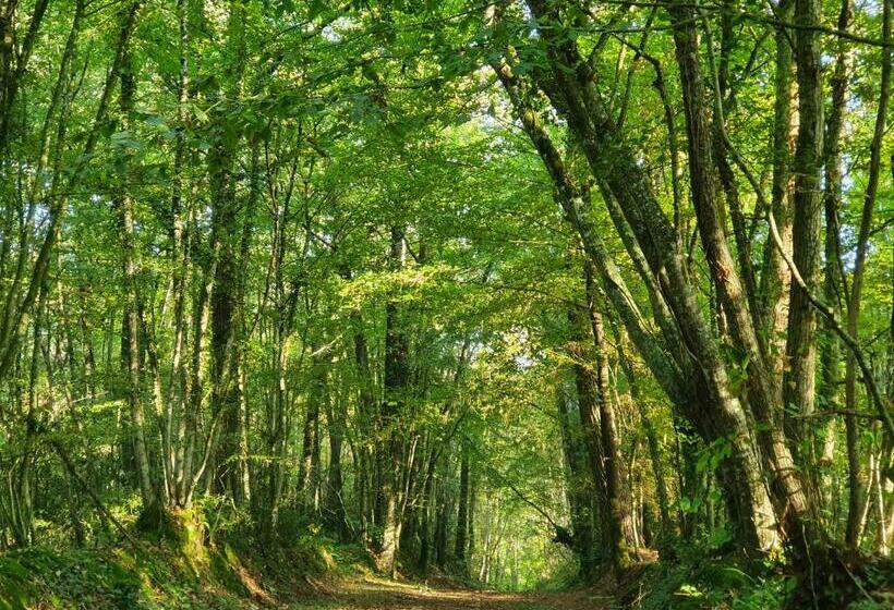Bed and Breakfast Chambres D Hôtes De La Vallée
