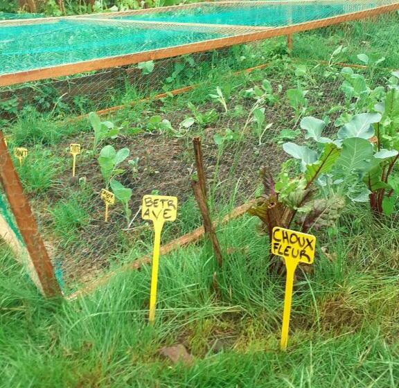 צימר à La Pause Bien Méritée =)