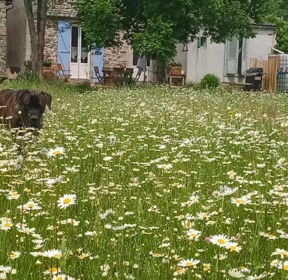 ベッドアンドブレックファースト La Tanière