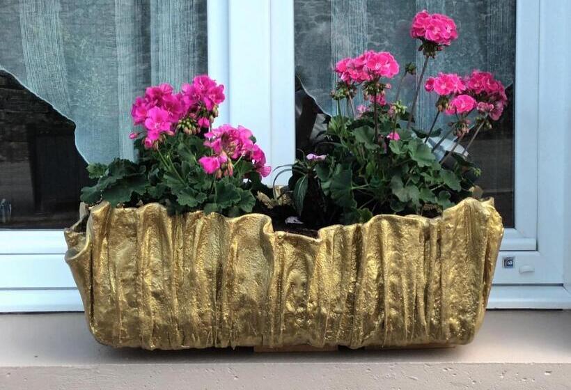 مبيت وإفطار Maison 1949