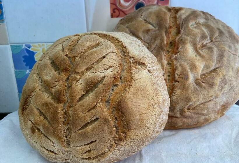 ベッドアンドブレックファースト Palazzo Vecchio Cocumola