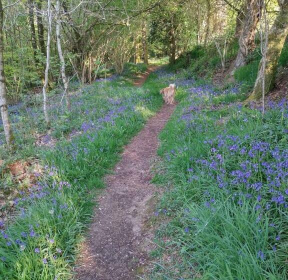 مبيت وإفطار Verte Vallée