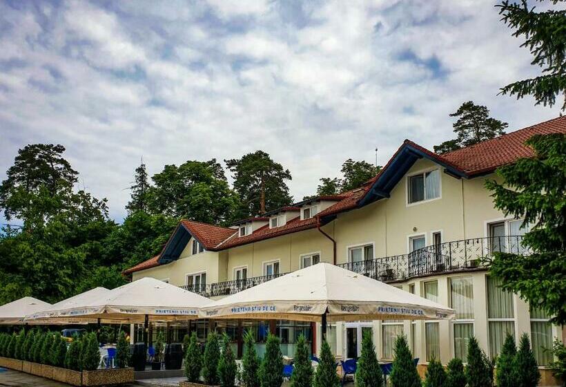 Отель Dumbrava Sibiului